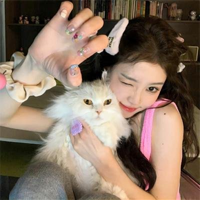 好莱坞队列